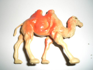 Camel image